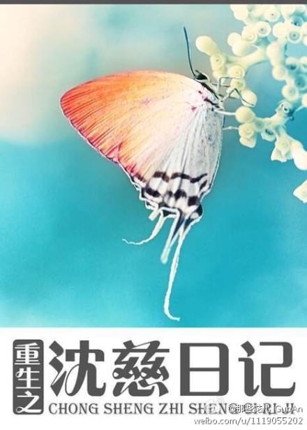 沈之音重生